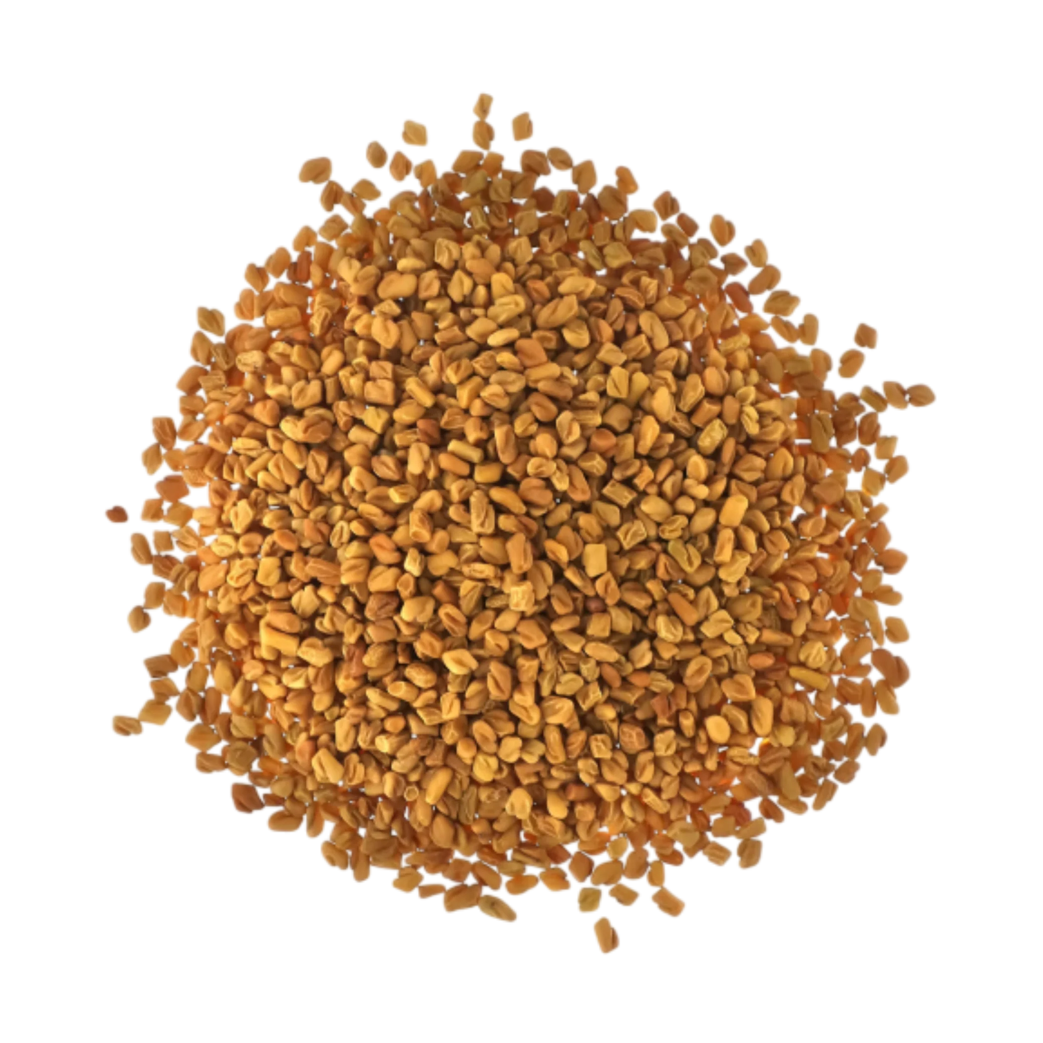 Fennel and Fenugreek seeds