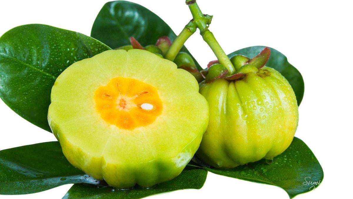 Garcinia cambogia