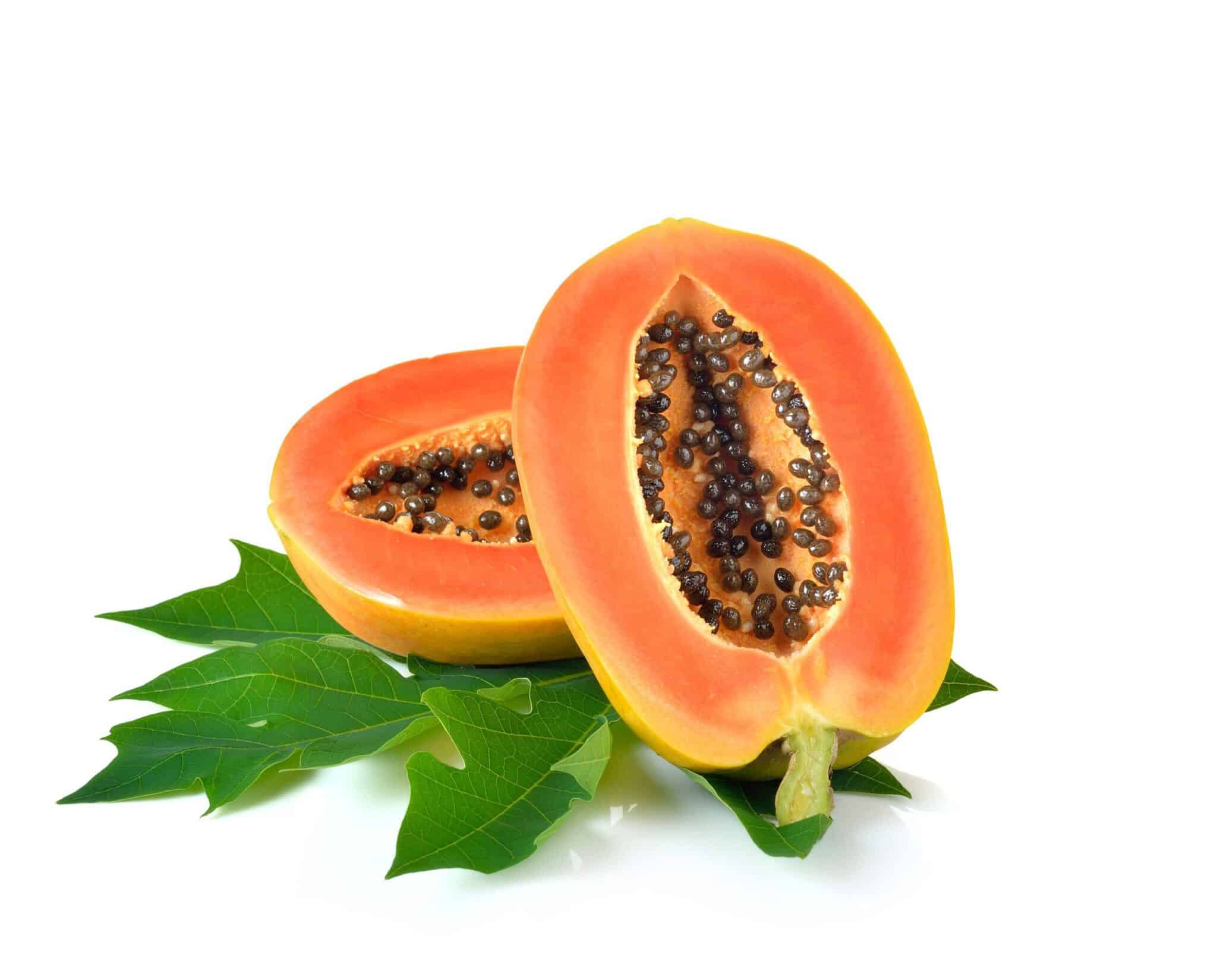 Carica Papaya