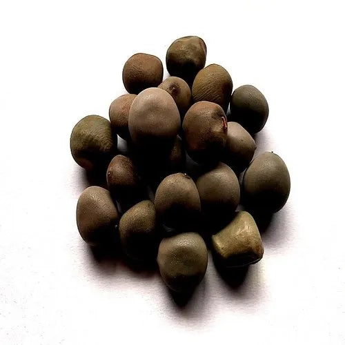 Kant Karanj