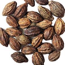 Terminalia chebula
