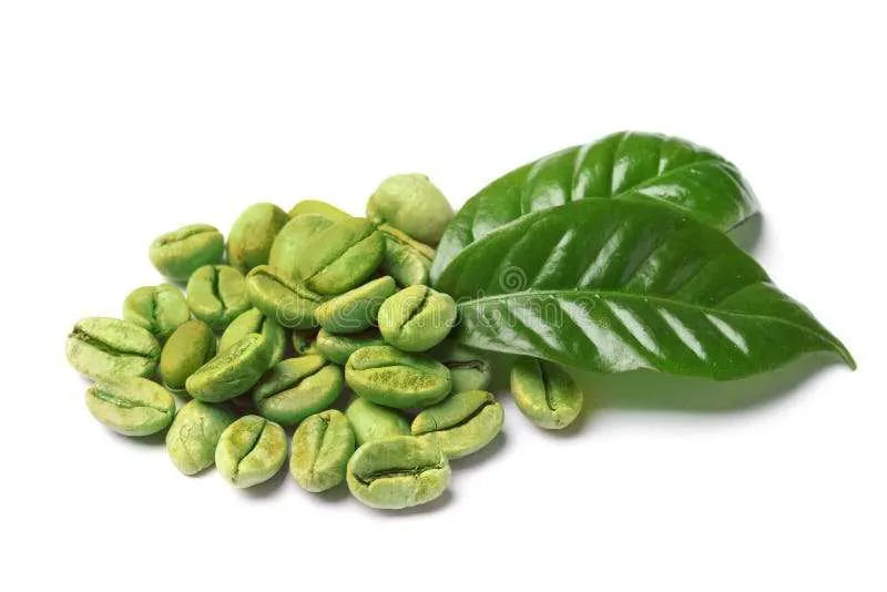 Green coffee