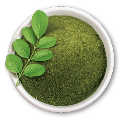 Moringa